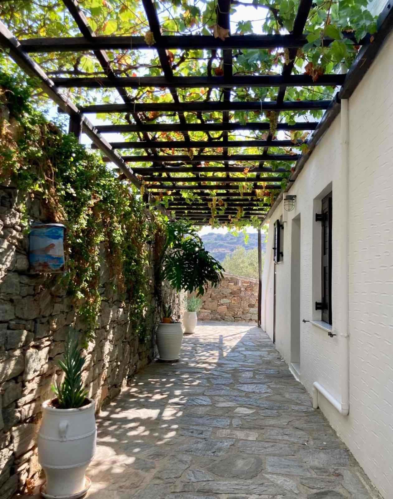 Syrou Lotos Studios & Apartments (Adults Only) Kini Værelse billede