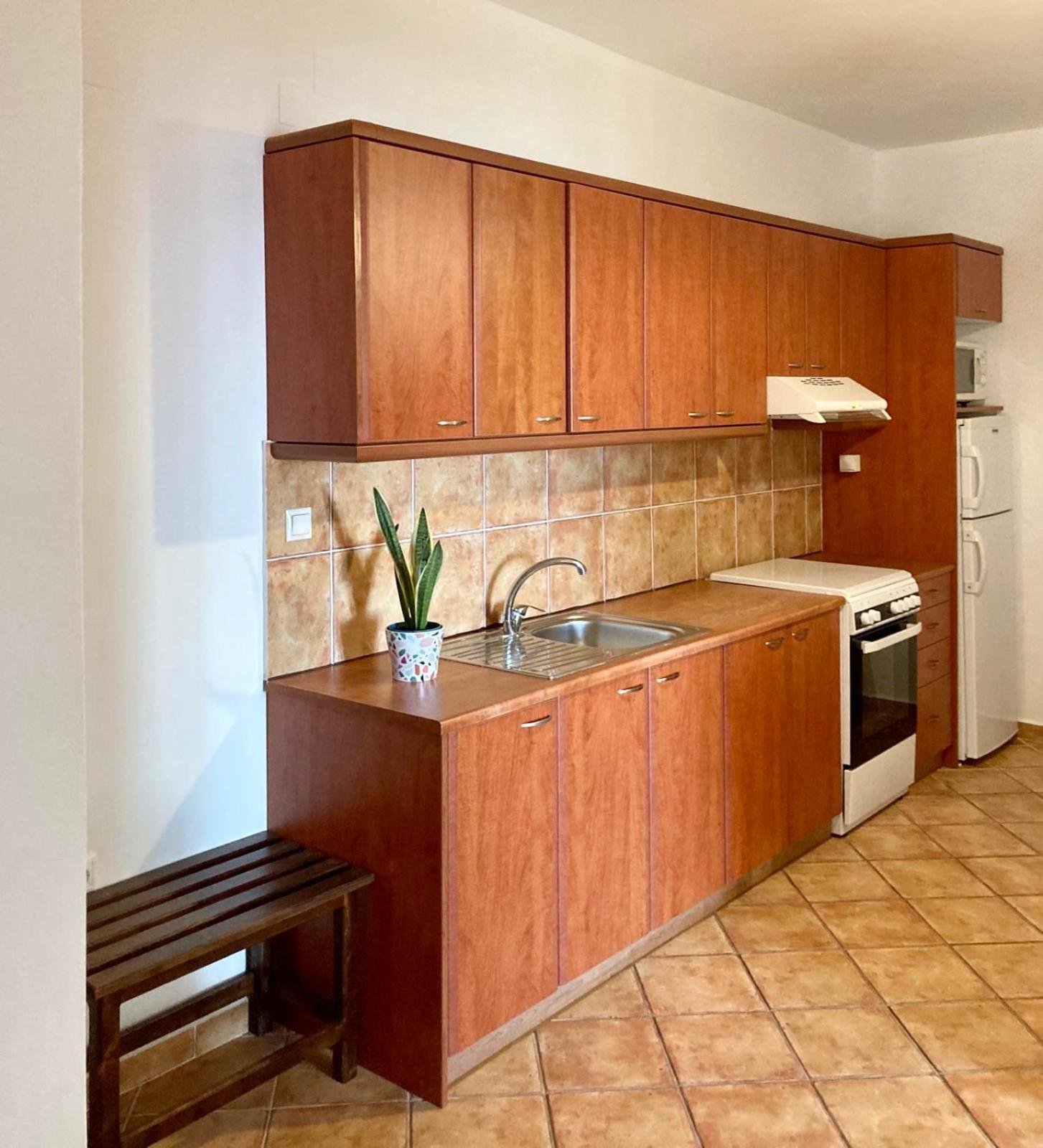 Syrou Lotos Studios & Apartments (Adults Only) Kini Værelse billede